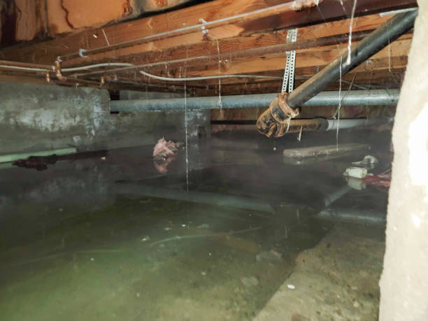 Best Water damage restoration near me  in Lincolnia, VA