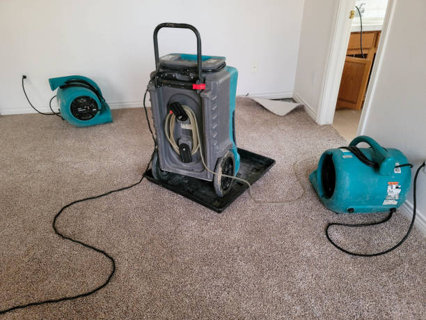 Best Water damage restoration near me  in Lincolnia, VA